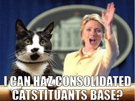 catstituants cats hilary clinton